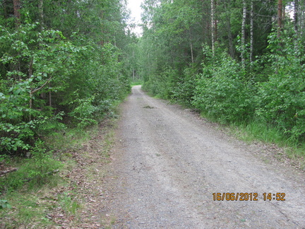 IMG 2571
