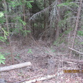 IMG 2575