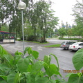 IMG 2580