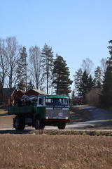 IMG 3621